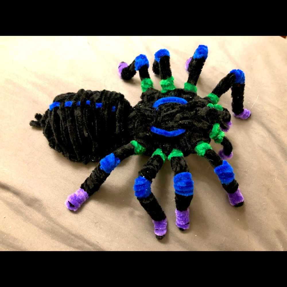 Ginormous Tarantula - Approx 8”x10”